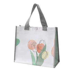 Bolsa de Compra Reutilizable Resistente de Tela No Tejida de Fábrica de Vietnam, Bolsas de Compra Personalizadas con su Propio Logotipo y Multicolores - Product Image 4