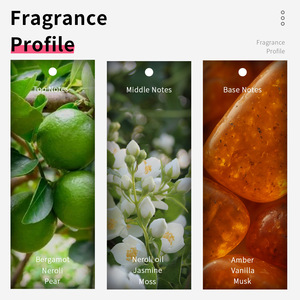 VILILY 100ml Parfum de Luxe pour Femme Haute Qualité Longue Durée Eau de Parfum Spray Floral Fruité Personnalisable OEM - Product Image 3