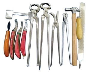 ชุดเครื่องมือช่างเกือกม้ามืออาชีพ 10 ชิ้น ผลิตตามสั่งจากเหล็กกล้า ชุดอุปกรณ์สำหรับม้า ใช้ซ้ำได้ ผลิตจากเหล็กกล้าไร้สนิมเยอรมัน สำหรับการดูแลกระดูกและข้อของม้า - Product Image 2