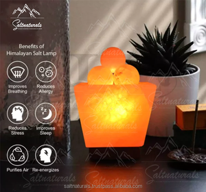 100% lampe au sel de l'Himalaya lueur naturelle logo de lampe au sel de l'Himalaya personnalisé/taille personnalisée incluse fabriqué au Pakistan - Product Image 5