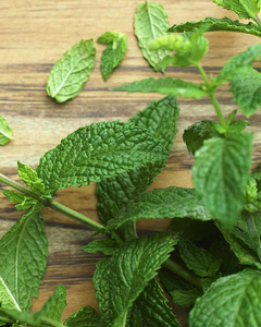 Hojas de menta secas de Vietnam – Naturales, sin aditivos, precio competitivo - Product Image 3