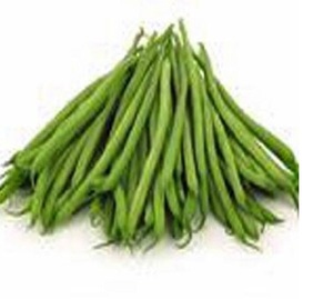 Haricots verts de haute qualité directement du fabricant - Product Image 5