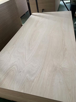 Coeur en contreplaqué d'eucalyptus 4x8 pieds pour la construction de sous-couche de revêtement de sol stratifié, bois multicouche