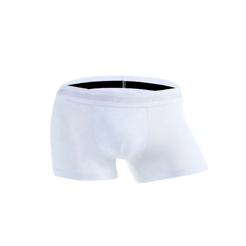 Großhandel Custom Logo Boxer Brief Unterwäsche Polyester Strick Cuecas Nahtlose Slips Damen Herren Boxer Slips DHL Männer FEDEX OEM Anti