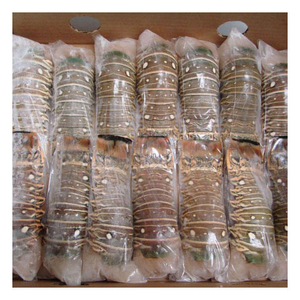 Homards de qualité commerciale pour les programmes d'approvisionnement en fruits de mer à grande échelle et les marchés du commerce international - Product Image 1