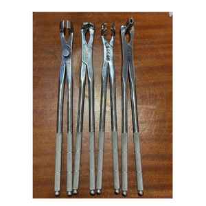 Juego de 4 Pinzas de Extracción Dental Equinas para Molares, Cirugía Oral Veterinaria, Pinzas para Molares Equinos de Alta Calidad - Product Image 1
