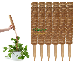 Poteau en fibre de coco – Noyau en bois robuste ou noyau en métal flexible |   Soutien naturel pour les Monstera, les Philodendron et les plantes grimpantes - Product Image 5