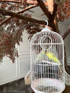 Lanterne en fil métallique personnalisée en forme de cage à oiseaux avec découpes de feuilles, décoration pour la maison et le jardin, centre de table décoratif en forme de cage à oiseaux - Product Image 3