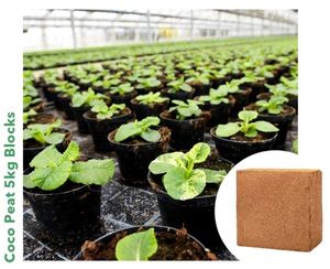 Bloque de turba de coco de la mejor calidad o ladrillos de coco de 5kg para plantadores de cerezas en Taiwán - Product Image 5