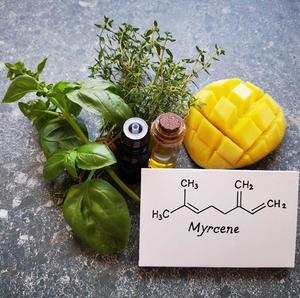 Myrcène aromatique naturel de haute qualité, 98 % pur, pour l'industrie des parfums, des arômes et des cosmétiques, fournisseur en gros OEM ODM - Product Image 2