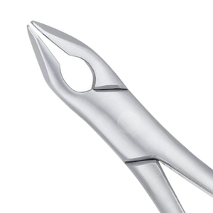 Pinzas de Extracción Apical Universales Superiores AF150, Instrumento Dental Quirúrgico Manual de Acero Inoxidable para Cirugía Oral, CE - Product Image 5