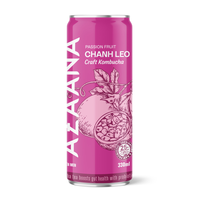 Passievrucht Kombucha Drank Gefermenteerde Thee Drank OEM Private Label Bulk Leverancier Fabriek Fabrikant Aangepaste Branding
