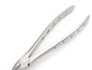 Forceps d'extraction dentaire chirurgical 51 Gentle Extraction Forceps 3mm pour racines supérieures, instrument pour chirurgie buccale - Product Image 3