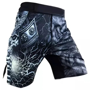 Shorts de lutte pour hommes de qualité supérieure avec taille élastique large, vêtements de Muay Thai et de kickboxing, polyester, séchage rapide, shorts d'été MMA - Product Image 5