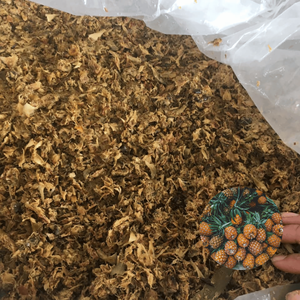 Alimento para Ganado de Primera Calidad a Precio Económico, Estándar Internacional, Fábrica de Vietnam, Ensilaje de Cáscara de Piña Empacado en Bolsa de PP - Product Image 1