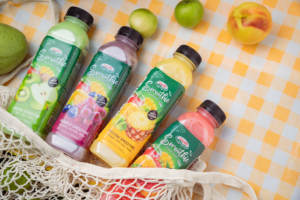 Nouvelle Saveur Jus Vert Smoothie 500ML Bouteille PET Jus de Pommes Frais Boisson Alimentaire au Vietnam Échantillon Gratuit Boissons Non Alcoolisées - Product Image 4