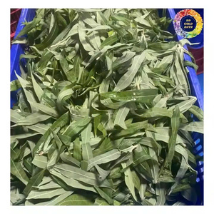 Exportación de Hojas de Yuca Picadas Congeladas de Vietnam |   Duración de 24 meses en el estante |   Empaquetado al Vacío/en Grandes Cantidades |   Suministro Confiable para Importadores - Product Image 3