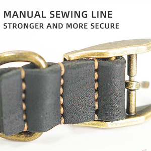 ปลอกคอสุนัขสีพื้นแบบปรับได้พร้อมหัวเข็มขัด ปลอกคอไนลอนทนทานสำหรับใช้ในชีวิตประจำวัน ฝึกสัตว์เลี้ยง ขายส่ง - Product Image 2