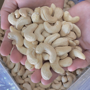 Nueces de Anacardo de Vietnam SANTIGO Directo de Fábrica, Calibres WW180, WW240, WW320, LP, WS, Venta al por Mayor, Duración de 2 Años, Empaque Personalizado - Product Image 4