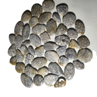 Pierres de Corail Naturelles de Haute Qualité KHUSHI GEMS STONE pour la Fabrication de Bijoux, Formes Mixtes 20-45mm, 8-12g, Certifiées par un Certificat Tierce Partie