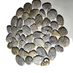 Wholesale High Quality <b>Natural</b> Coral <b>Stones</b> for Jewelry Making Mix Shape 20-45mm 8-12g Third Party Certified - Product Image 4