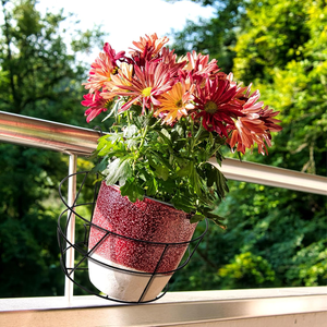 Black Iron Flower Pot Railing <b>Basket</b> Holder with Dual <b>Hanging</b> Hooks Open <b>Wire</b> Support for Balcony Garden Patio Window Indoor - Product Image 4