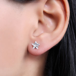 Pendientes de Cristal con Forma de Estrella 2026, Plata de Ley 925, Joyería para Mujeres y Niñas, para Usar en Bodas y Fiestas - Product Image 1