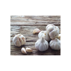 Bulbos de Ajo Frescos de Calidad Superior, Ajo Blanco para Cocinar, Preparación de Alimentos, Procesamiento Industrial y Suministro para Exportación Global - Product Image 1