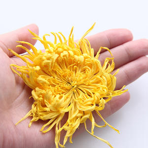 بيع بالجملة الصينية عشب ذهبي حرير أقحوان الشاي ملك أقحوان الشاي المجفف الذهبي الحرير الملكي أقحوان للشاي - Product Image 2