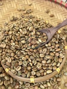 Vietnam Robusta Green Coffee Beans Bulk Export Quality Premium Coffee Supplier Worldwide - Product Image 6