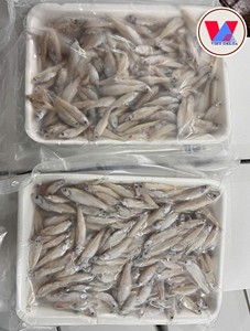 Anchois entiers ronds surgelés IQF, ingrédient de fruits de mer, fournisseur de poissons marins du Vietnam - Product Image 3