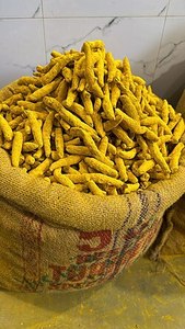 Doigts de curcuma entiers séchés de haute qualité, mélangés, allongés, naturels, épice monovariétale pour usage culinaire, EXPORT DESI, 12 mois - Product Image 5