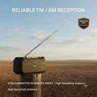 Radio d'urgence solaire SE-T02, haut-parleur sans fil, charge solaire, radio FM portable avec lampe torche LED, batterie externe