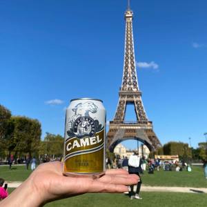 เครื่องดื่มแอลกอฮอล์กระป๋องมอลต์เวียดนามเบียร์เบียร์เบียร์อูฐสีน้ำเงิน - Product Image 4