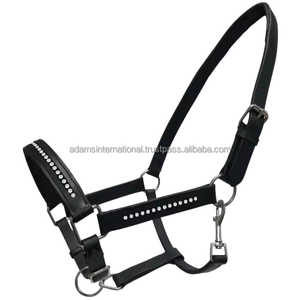 Cabestro de caballo de cuero acolchado de alta calidad con Fabricante Mayorista internacional Crystal Adams - Product Image 1