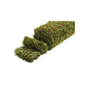 Granulés de foin d'alfalfa et balles de foin de luzerne, aliments pour animaux pour chevaux, bovins, porcs, poissons, variété incluant le foin de Rhodes - Product Image 1
