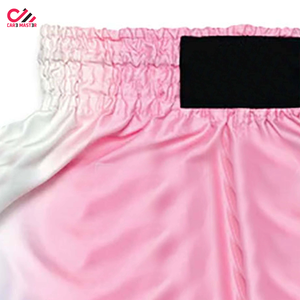 Nouveau design, vente en gros, shorts de Muay Thai Fairtex imprimés par sublimation, tissu 100% polyester pour adultes, shorts de combat MMA Fairtex - Product Image 3