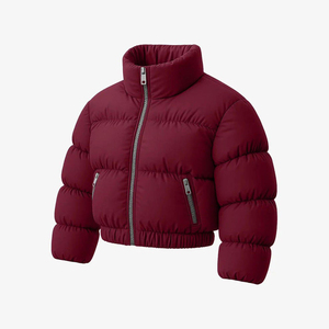 Veste d'hiver matelassée en duvet à capuche, imperméable et coupe-vent, sur mesure, pour les voyages urbains - Product Image 1