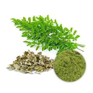 Poudre de Moringa Finement Broyée Premium 100% Naturelle Favorise la Santé des Cheveux, de la Peau et du Système Immunitaire - Product Image 1