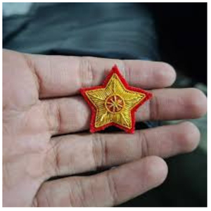 Badge de blazer en tissu toile 3D de haute qualité, entièrement personnalisé, brodé à la main avec fil de bullion, qualité supérieure - Product Image 3