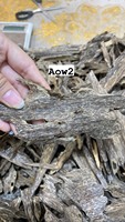 Çift Katmanlı Ant Oud Ağacı Organik Buhurdanlık Yüksek Reçineli ve Kalıcı Kokulu Saf Tütsü Vietnam Agarwood AOW Talaşı
