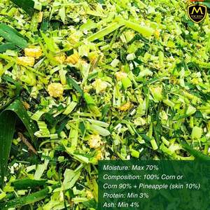 Silage de maïs de haute qualité pour l'alimentation du bétail avec une offre stable en provenance du Vietnam - Product Image 2