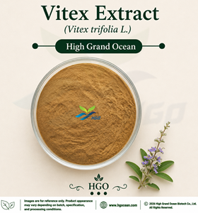 โรงงาน HGO จัดจำหน่ายสารสกัดวิเท็กซ์บริสุทธิ์จากธรรมชาติ (Vitex trifolia L.) เกรดอาหาร อัตราส่วน 4:1 5:1 10:1 20:1 100:1 200:1 โดยตรง - Product Image 1