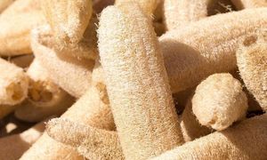 Éponge de loofah entière séchée écologique du Vietnam - Éponge naturelle sans plastique pour le bain, le spa et la cuisine - Product Image 5