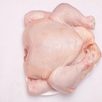 Poulet entier frais de qualité supérieure, surgelé IQF, emballé sous vide, 25 kg – Meilleures ventes à prix abordable
