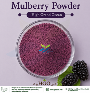 HGO Factory Direct Supply of Pure Natural Mulberry Powder (Food Grade) Fruit powder Spray Drying or Freeze-dried Mulberry Powder - Product Image 1