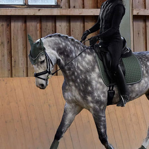 Protector de Orejas para Caballos de Alto Rendimiento, Tela Premium, Proveedor Mayorista de Protectores de Orejas para Caballos - Product Image 3