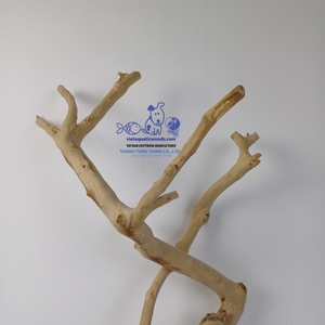 Rama de Madera Natural para Reptiles y Aves, con Soporte Metálico para Terrario, Origen Vietnam - Product Image 6