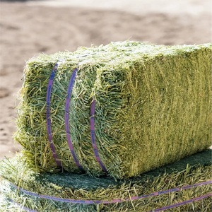 Heno de Alfalfa de Grado Agrícola para Alimentación de Ganado, Ofrece Forraje Limpio, Proteína Natural, Fibra Rica y Almacenamiento Conveniente en Venta - Product Image 2