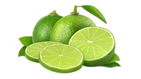 Verse pitloze limoenen citrusvruchten groen hoog sapgehalte 60-90 dagen houdbaarheid Vietnam export bulk groothandel